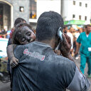 Ministère de la Santé à Gaza: Le bilan de l'agression israélienne passe à 8 005 morts