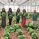 Kadın ve genç girişimciye yeni destek