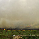 Indonésie: des incendies de tourbières provoquent des fermetures d'écoles