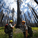 Un chercheur militant se dit menacé de licenciement pour avoir refusé de prendre l'avion