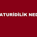 Maturidilik nedir? Maturidilik mezhebi ne zaman ortaya çıkmıştır?