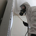 Punaises de lit: les Français gagnés par une inquiétude virale