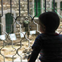 L'Union européenne met en garde contre le terrorisme commis par des colons juifs en Palestine