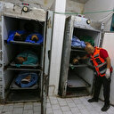 Palestine: tirs et frappes meurtriers de l’armée israélienne, sept Palestiniens tués