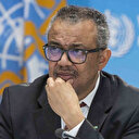 OMS: "les informations faisant état d'une attaque contre un hôpital à Gaza sont extrêmement préoccupantes"