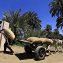 Soudan: la FAO distribue 10 mille tonnes de semences