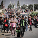 Gaza: environ 400 000 Gazaouis ont été contraints de fuir vers le sud en raison des frappes israéliennes