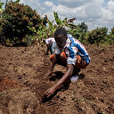 L'Ouganda dénonce son exclusion d'un accord commercial par Washington