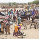 Malnutrition: les enfants soudanais réfugiés au Tchad en danger