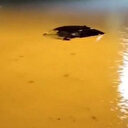 Batman’da sağanak: Araçlar suya gömüldü