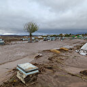 Diyarbakır'daki sağanak: Köprü yıkıldı, 200 hindi öldü, iki bin arı kovanları zarar gördü