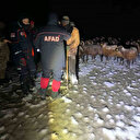 Ağrı’da mahsur kalan 3 çoban ve 3 bin koyun kurtarıldı