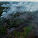 COP28: Lula va proposer un fonds international de préservation des forêts tropicales