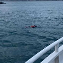 Kadıköy-Beşiktaş seferini yapan vapurdaki yolcu denize düştü