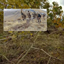 Bitlis'te vahşet: Kayıp şahsın yakılmış ve parçalara ayrılmış cesedi bulundu