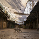 L'Union internationale des savants musulmans appelle à une grève internationale en solidarité avec Gaza