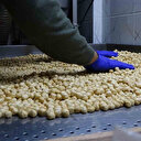 La Mer Noire, capitale mondiale de la noisette