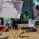 Tchad/Référendum: Le projet de nouvelle Constitution approuvé avec 86% des voix