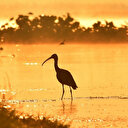 Aperçu du paysage environnemental mondial pour l'année 2023