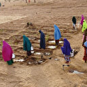 La TIKA apporte son soutien à la production agricole au Niger