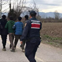 Sakarya'da çok sayıda düzensiz göçmen yakalandı