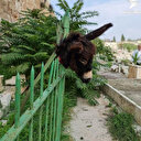 Des colons profanent un cimetière islamique à Jérusalem-Est