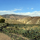 Tunisie: trois "terroristes" abattus dans une zone montagneuse