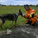 Indonésie: Un séisme de magnitude 6,5 frappe l'extrême-est du pays