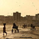 Malgré l'urbanisation rapide, les charrettes tirées par des chevaux constituent une part importante des transports au Sénégal