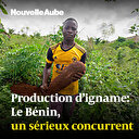 Production d’igname: Le Bénin, un sérieux concurrent