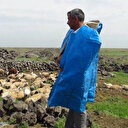 Tarım ve Orman Bakanlığı açıkladı: Sekiz yılda 400 milyon liralık çoban desteği verildi