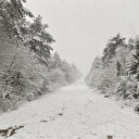 Kocaeli'nin yüksek kesimlerine kar yağdı