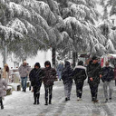 Ordu'da kar etkili oluyor
