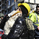 Türkiye: une chienne guide les secouristes jusqu'à l'emplacement de sa maîtresse sous les décombres