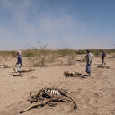 Ethiopie: l’OIM au secours des victimes de la sècheresse