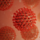  La Guinée équatoriale déclare sa première épidémie de maladie à virus de Marburg