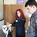 Enkazdan çıkarılan Karamel'in sahibi çip sayesinde bulundu