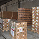 L'Iran prépare 6 tonnes d'aide médicale pour les personnes touchées par les tremblements de terre en Türkiye