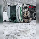 Bingöl'de yolcu otobüsü devrildi; 12 yaralı