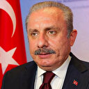 Şentop'tan İslam ülkelerine çağrı: Ses yükseltmeliyiz