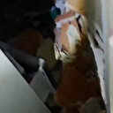 Hatay’da hafif hasarlı bir binadaki kediyi kurtarmak isteyen ekip depreme yakalandı
