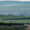 Des fabricants de thés britanniques mis en cause pour des abus sexuels au Kenya