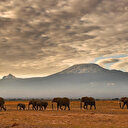 Kenya: hausse de 83% des revenus liés au tourisme en 2022