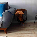 Deprem anında nereye saklanmalı?