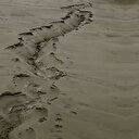 Fay hattındaki zemin sıvılaşması dehşete düşürdü: Zemin neden sıvılaşır?