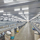 Üretim bantları böyle savruldu: Ekmek teknemizi ayağa kaldıracağız