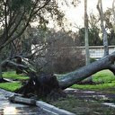 Deux cyclones pourraient frapper la Nouvelle-Zélande la semaine prochaine