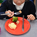 France: Les menus de substitution dans les écoles ne sont pas contraires aux principes de laïcité