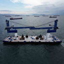 Dünyada başka bir örneği daha yok: Türkiye'ye getirildi görenler bir daha baktı