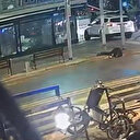 Attaque à main armée à Tel Aviv